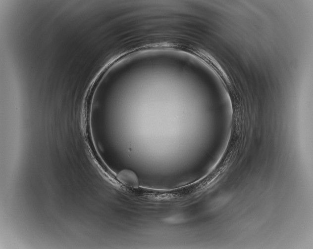 X0000116370851200912091236