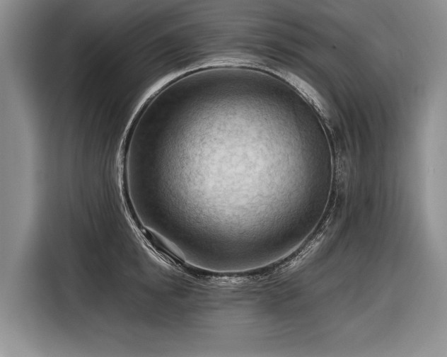 X0000116370854200912091236