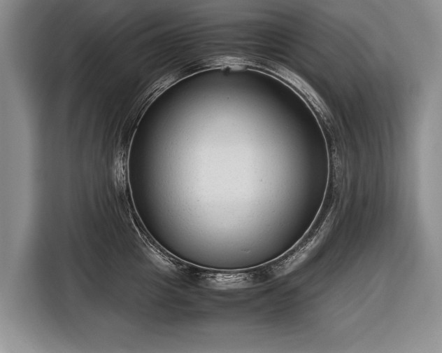 X0000116370857200912091236