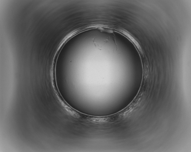 X0000116370861200912091236