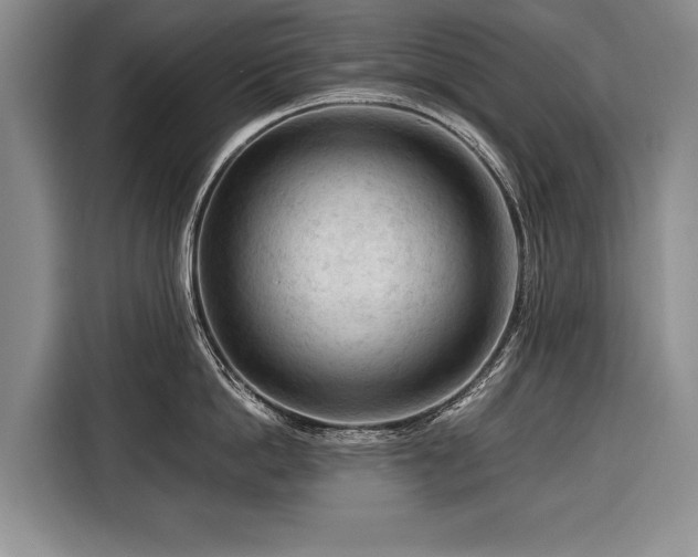 X0000116370862200912091236