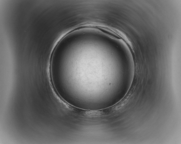 X0000116370863200912091236