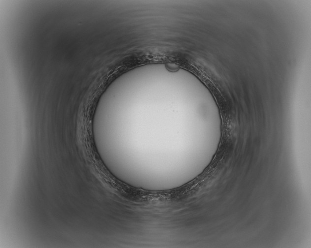 X0000116370865200912091236