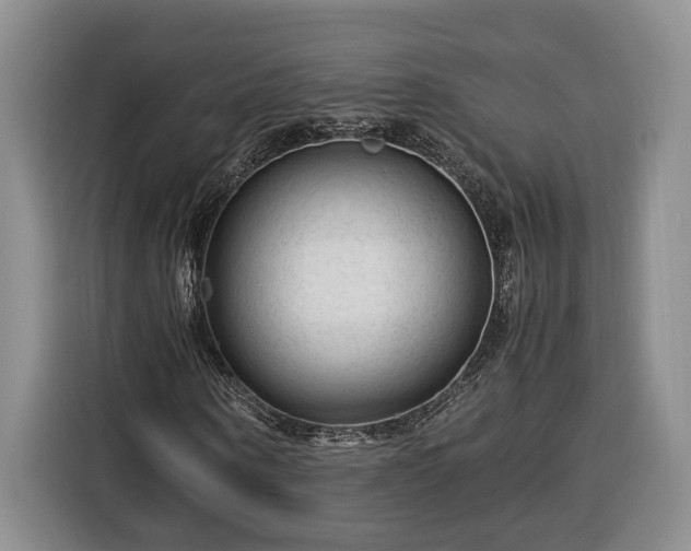 X0000116370866200912091236