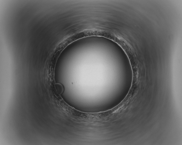 X0000116370870200912091235