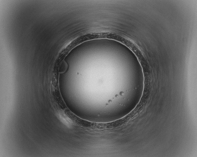 X0000116370871200912091235