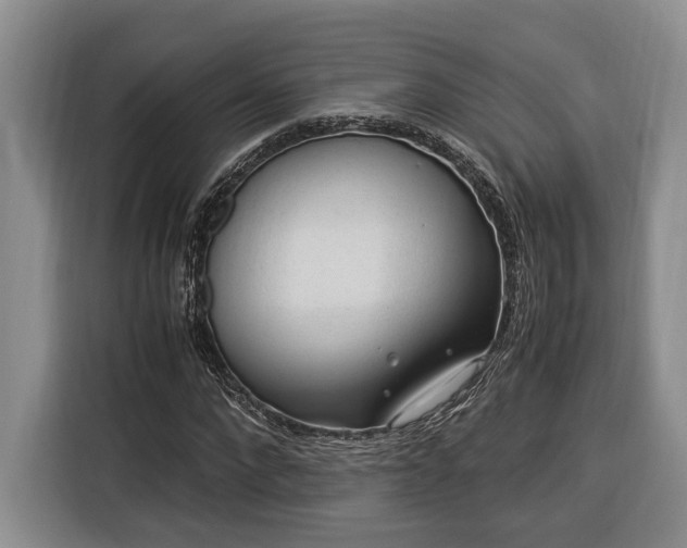 X0000116370872200912091235