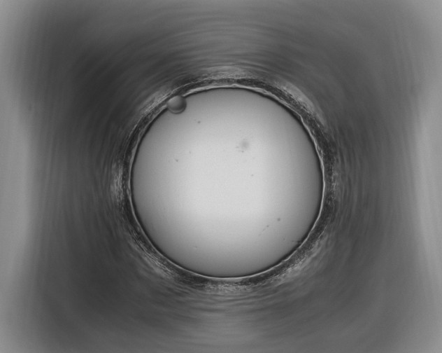 X0000116370873200912091235