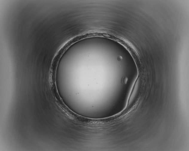 X0000116370878200912091235