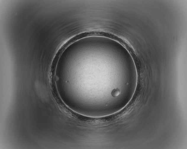 X0000116370879200912091235