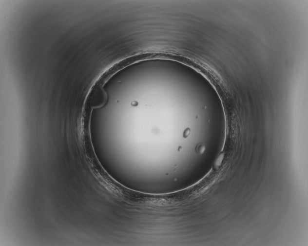 X0000116370880200912091235