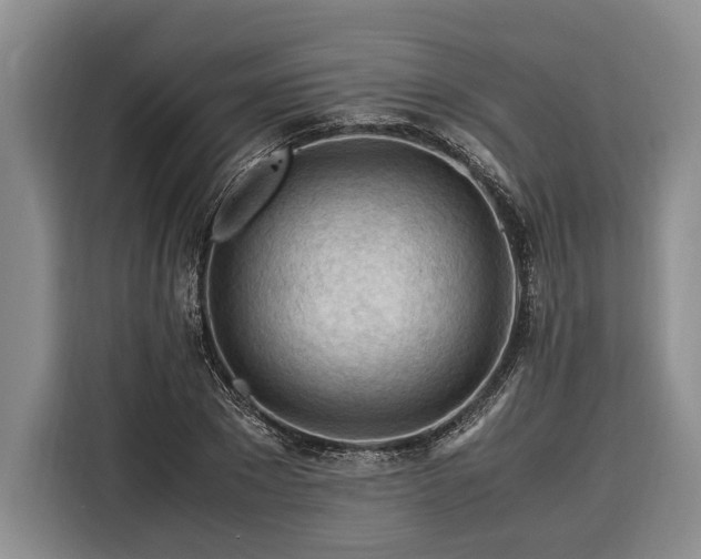 X0000116370881200912091235