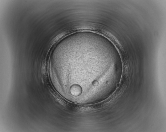 X0000116370882200912091235