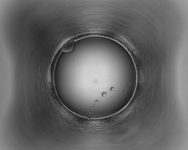 X0000116370883200912091235