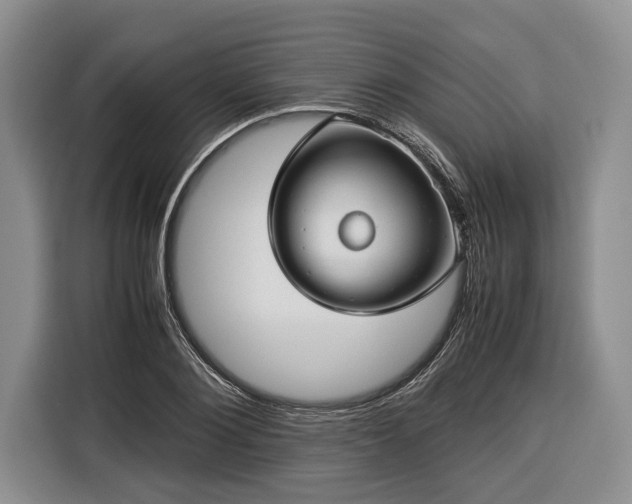 X0000116370884200912091235