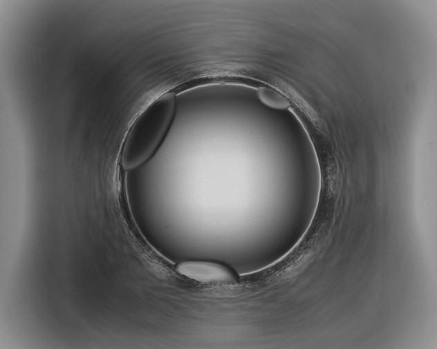 X0000116370885200912091235