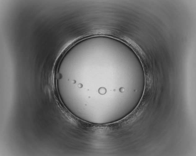 X0000116370886200912091235