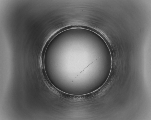 X0000116370887200912091235