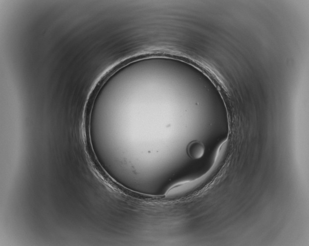 X0000116370888200912091235