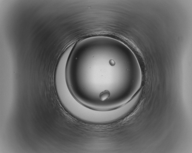 X0000116370889200912091235