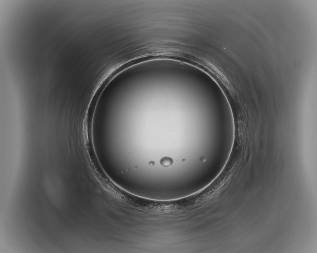 X0000116370891200912091235