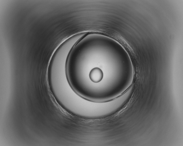 X0000116370892200912091235