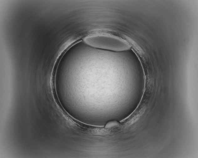 X0000116370893200912091235