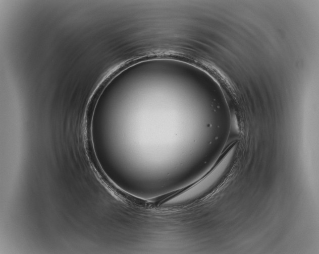 X0000116370894200912091235