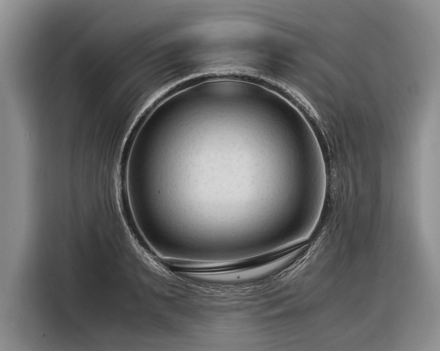 X0000116370895200912091235