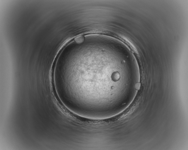 X0000116370899200912091235