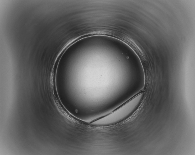 X0000116370900200912091235