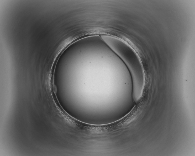 X0000116370901200912091235