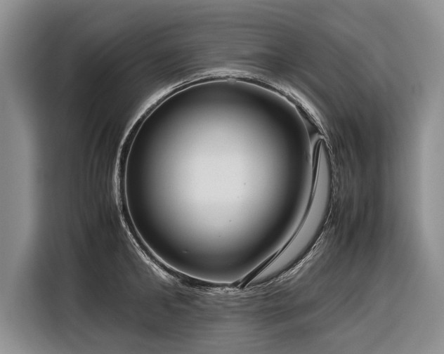 X0000116370902200912091235