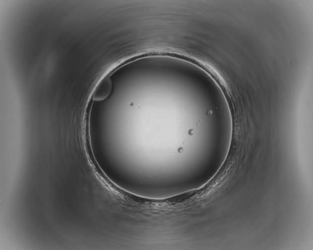 X0000116370903200912091235