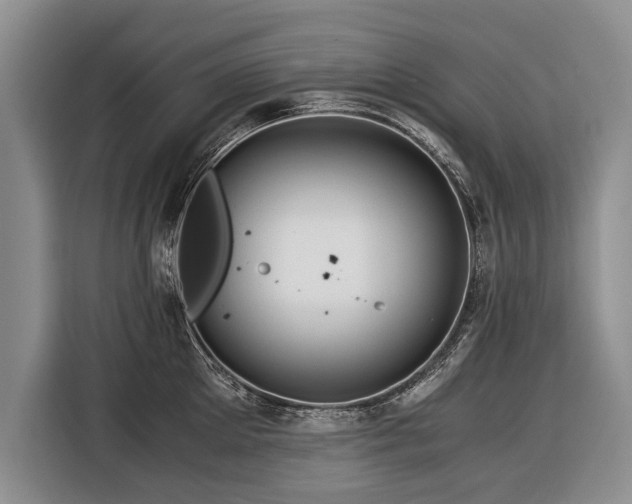 X0000116370905200912091235