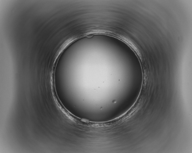 X0000116370906200912091235