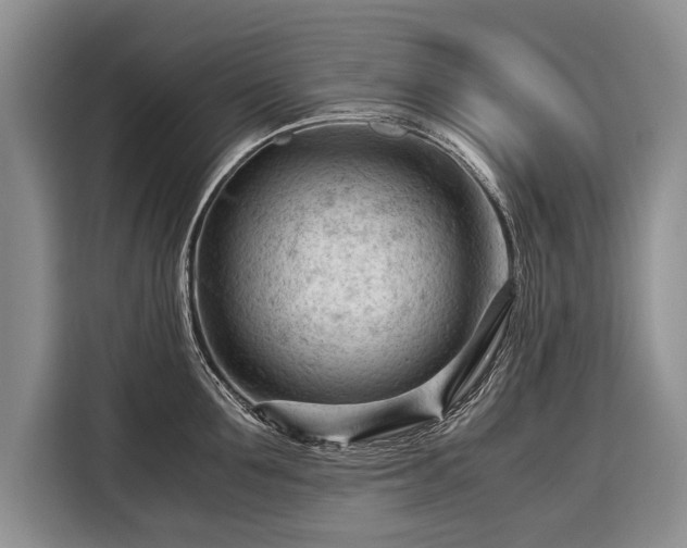 X0000116370907200912091235