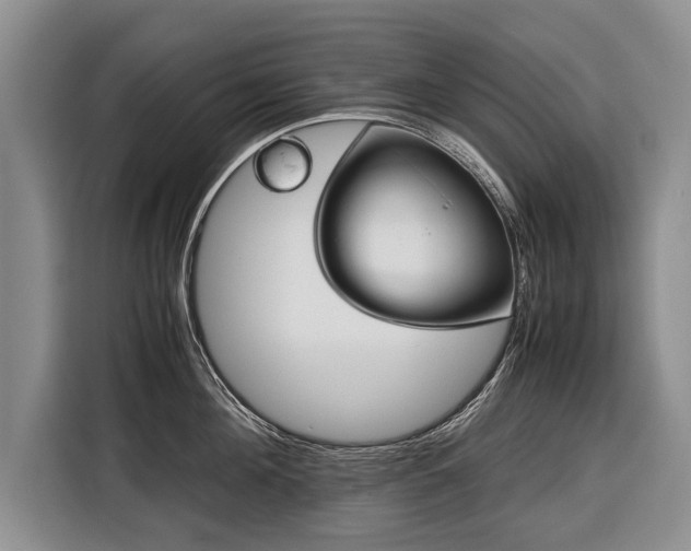 X0000116370908200912091235