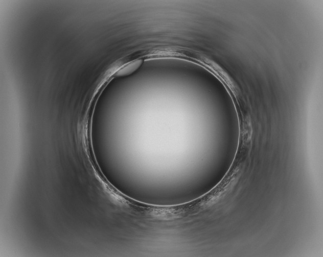 X0000116370909200912091235