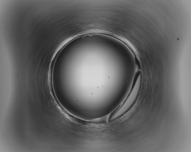 X0000116370910200912091235