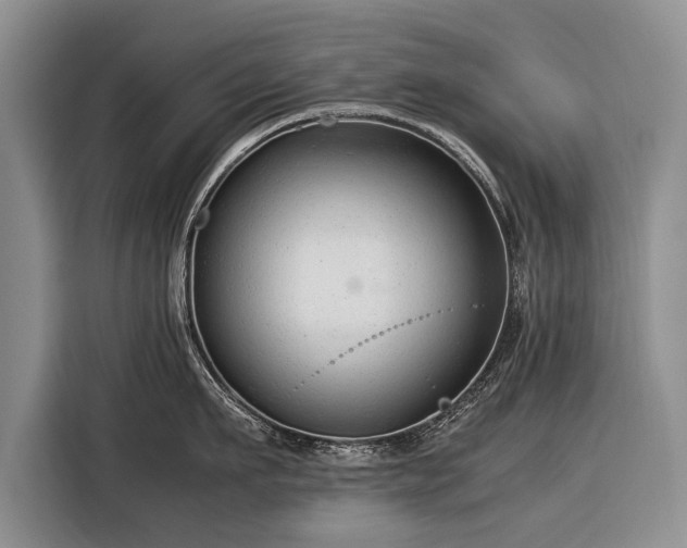 X0000116370911200912091235