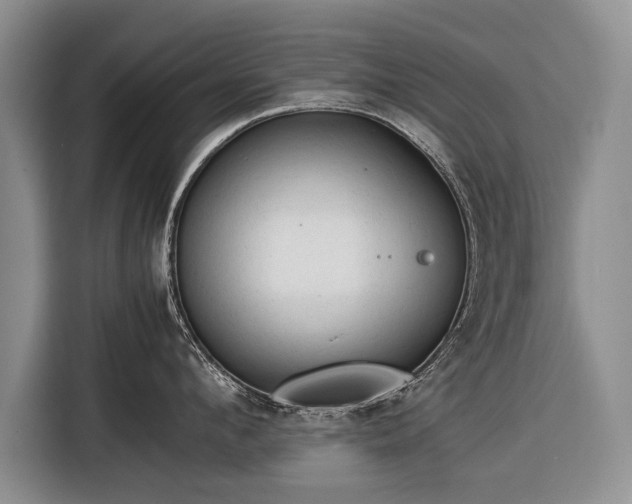 X0000116370912200912091235