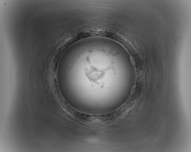 X0000116370913200912091234