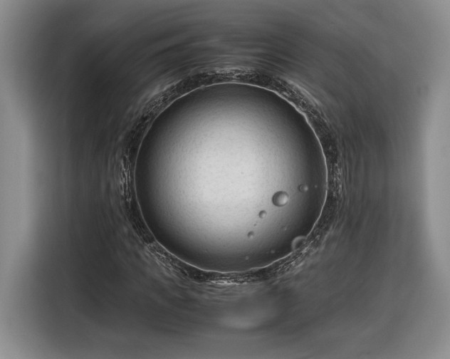 X0000116370917200912091234