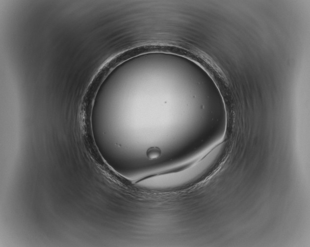 X0000116370926200912091234