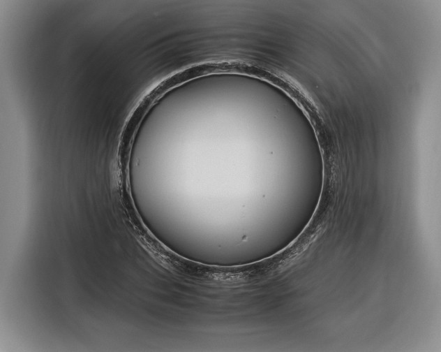 X0000116370927200912091234