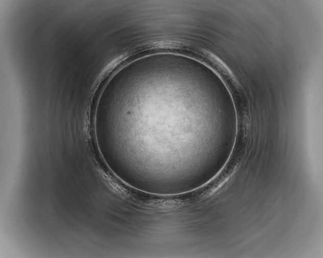 X0000116370930200912091235