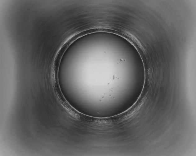 X0000116370931200912091235