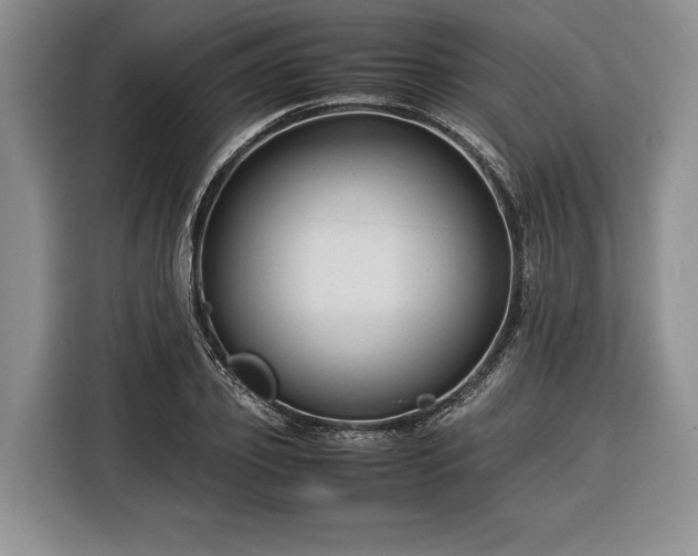 X0000116370933200912091235