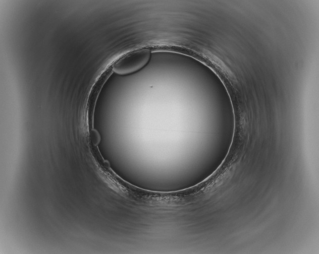 X0000116370934200912091235